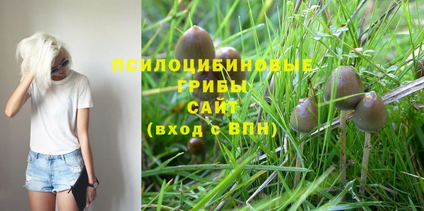каннабис Баксан