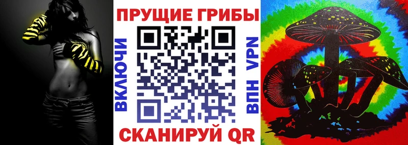 дарнет шоп Бодайбо Галлюциногенные грибы ЛСД